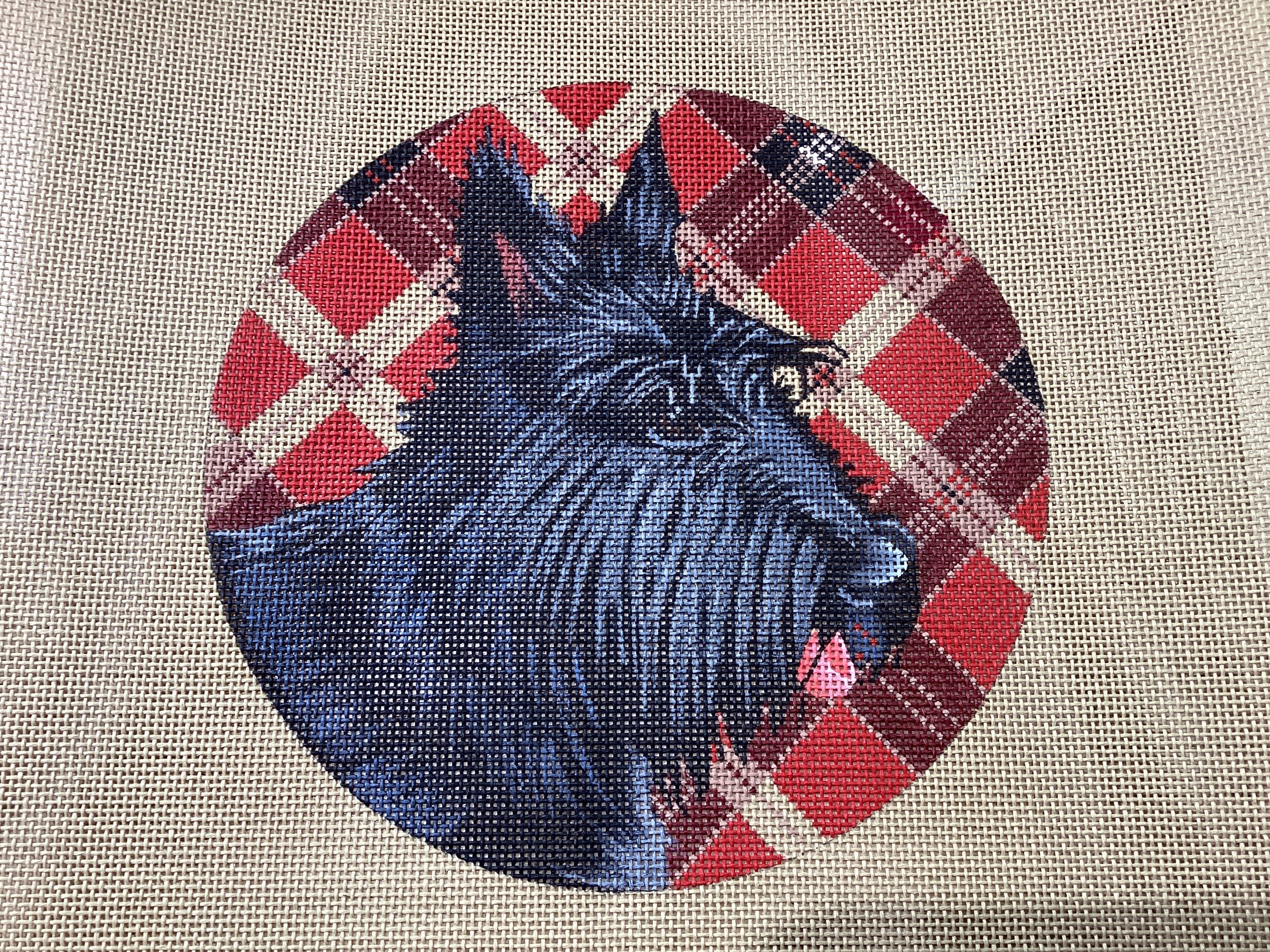 Scottish Terrier on Tartan