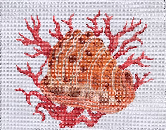 Helmet Shell w/ Coral PL-281