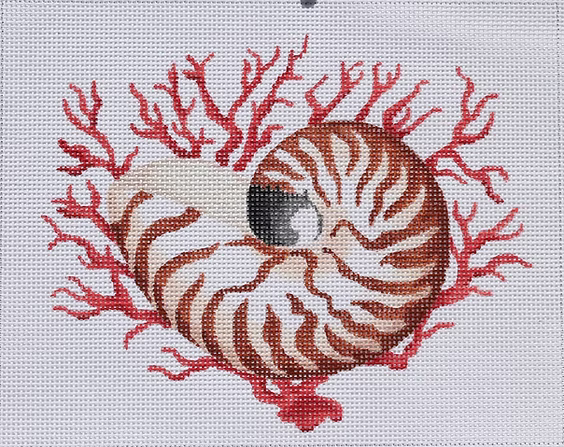 Nautilus Shell w/ Coral PL-282