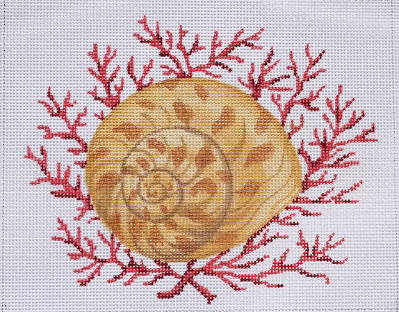 Moon Snail Shell w/ Coral PL-280