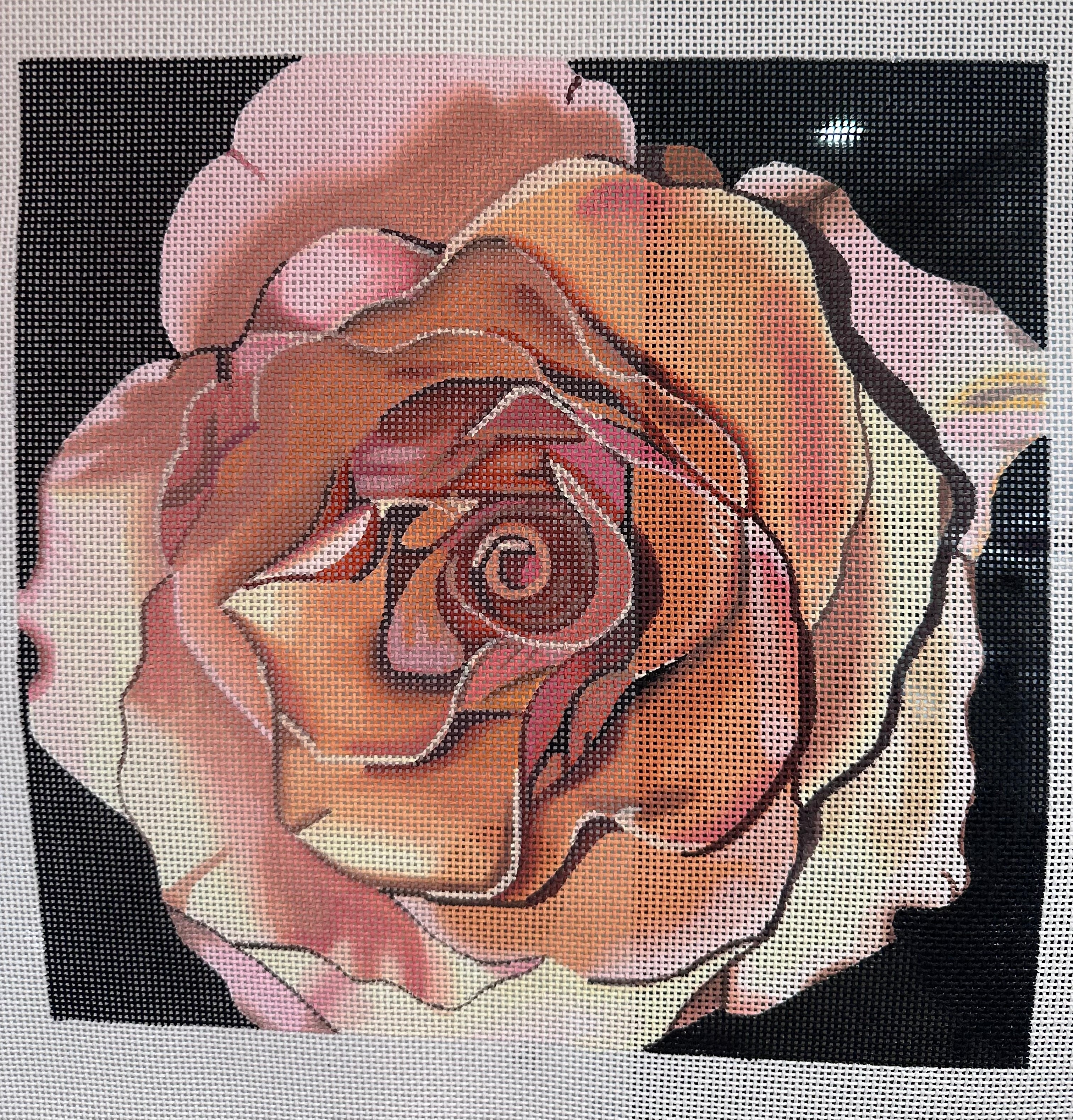 Pink Rose On Black