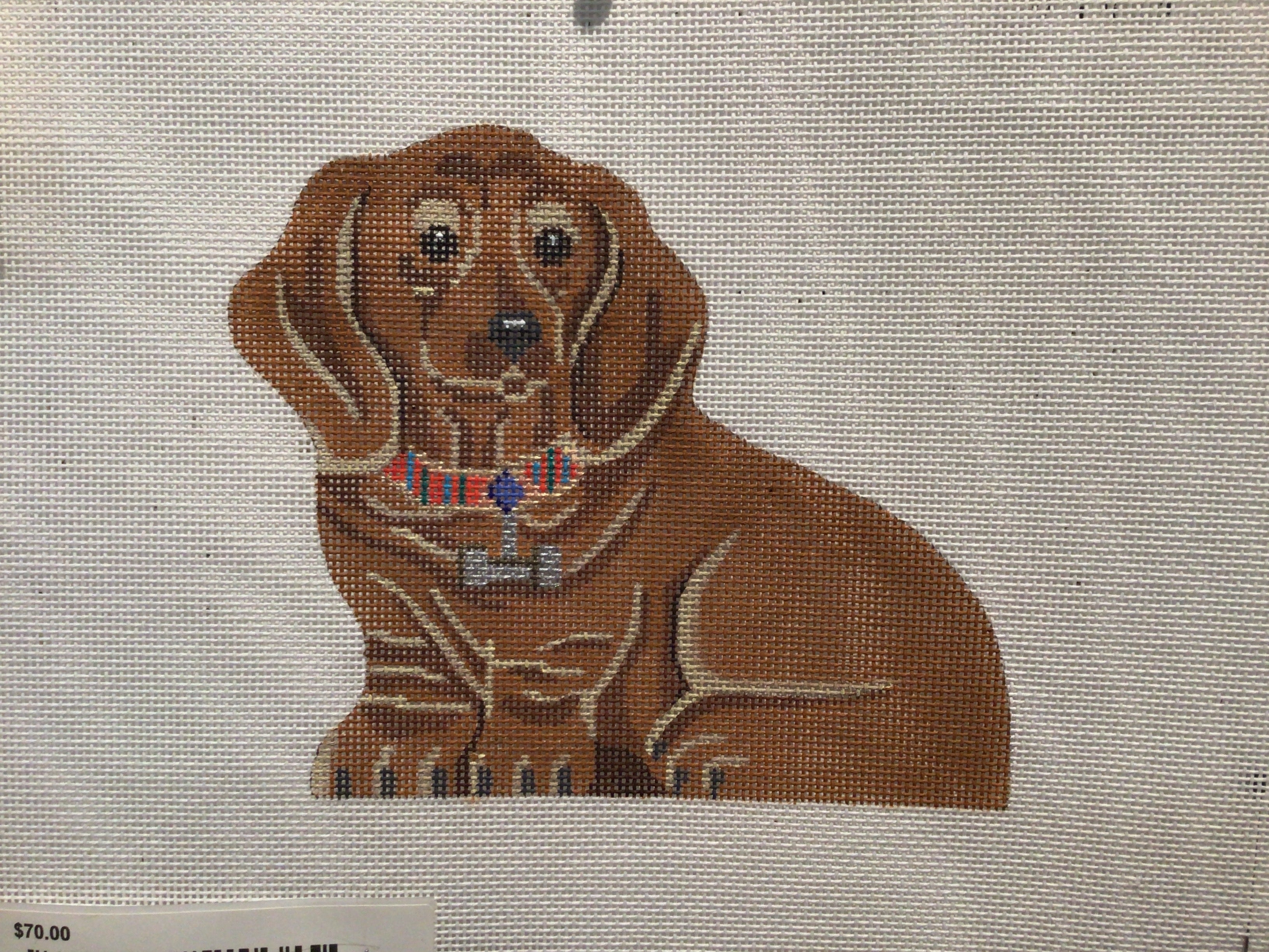 Dachsund