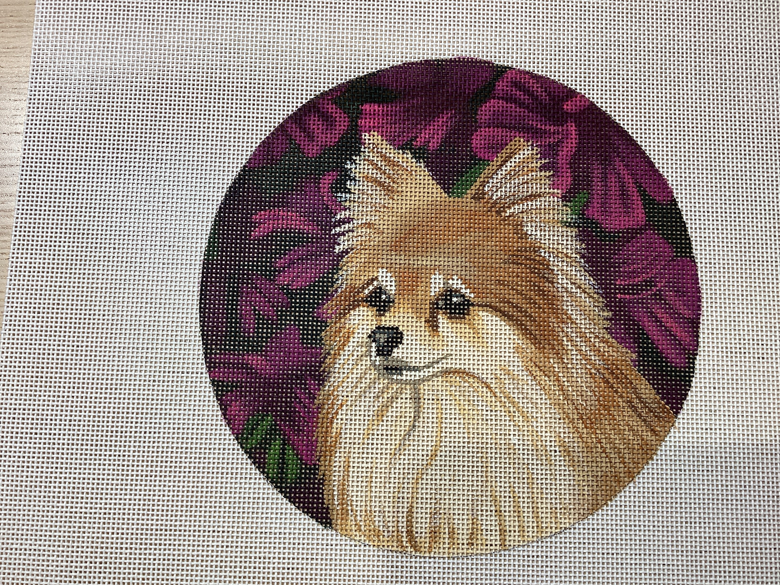 Pomeranian on Flowers