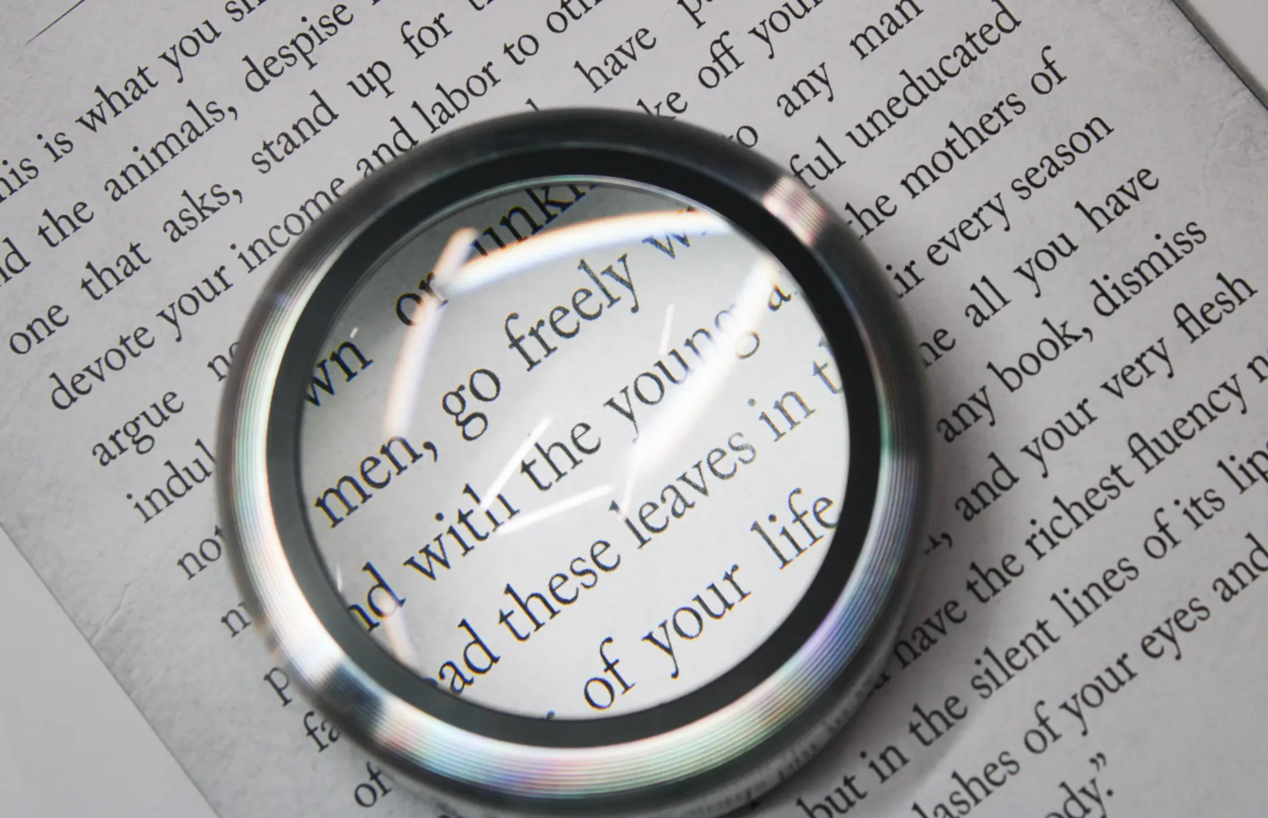 Dome Aluminum LED Lighted Rechargeable Magnifier