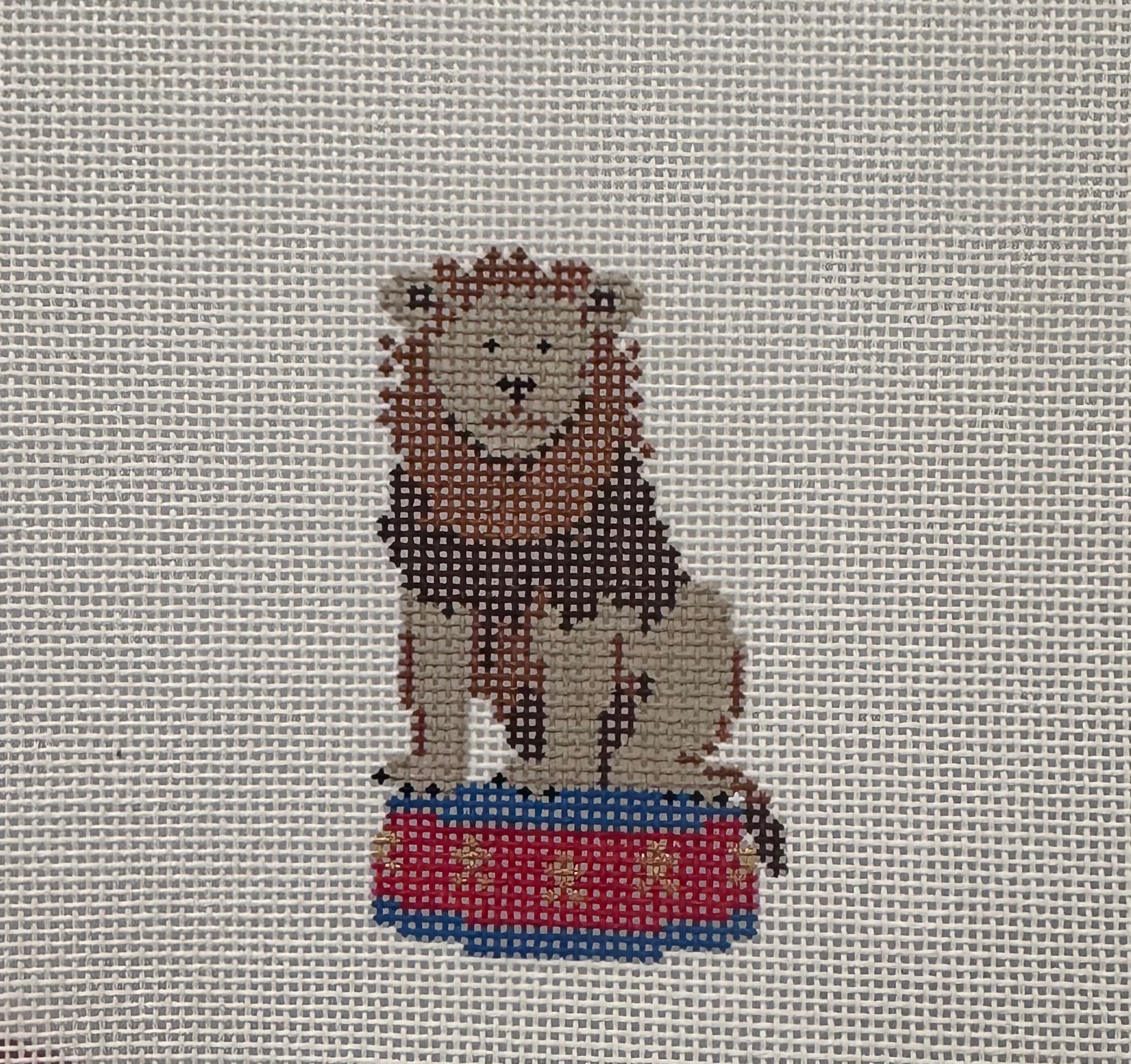 Circus Lion
