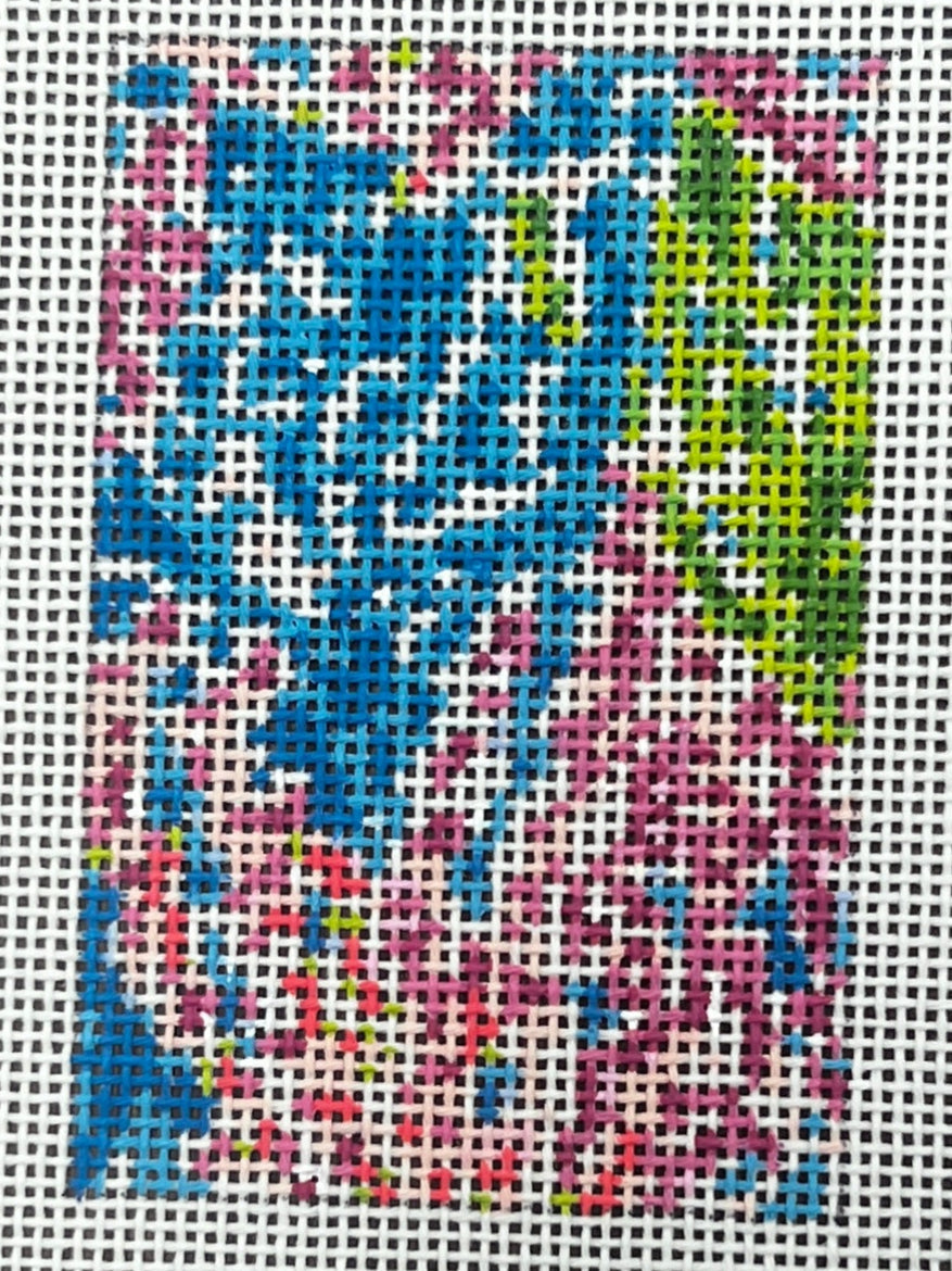 Party Coral Luggage Tag