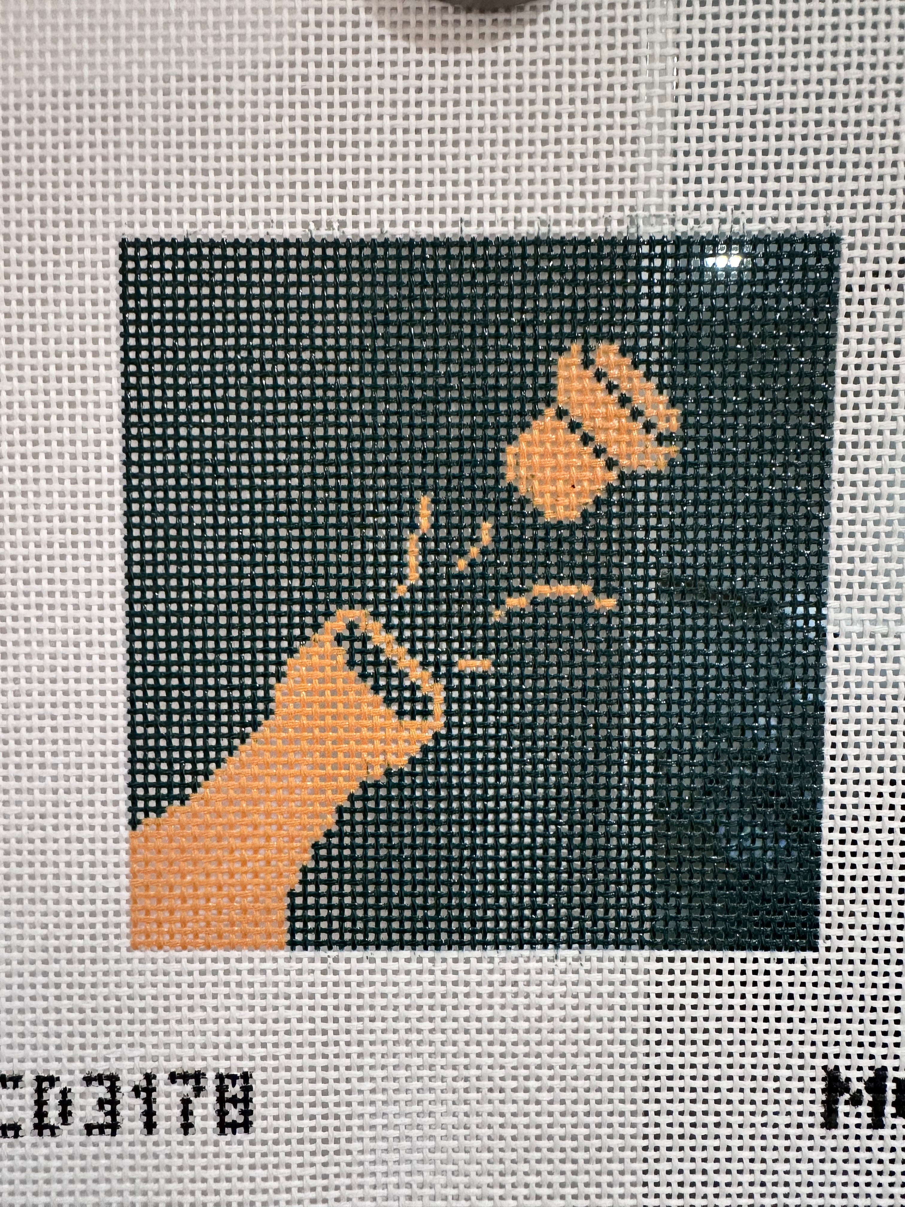 Champagne BEGINNER KIT