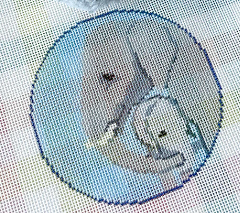 Mom and Baby Elephant