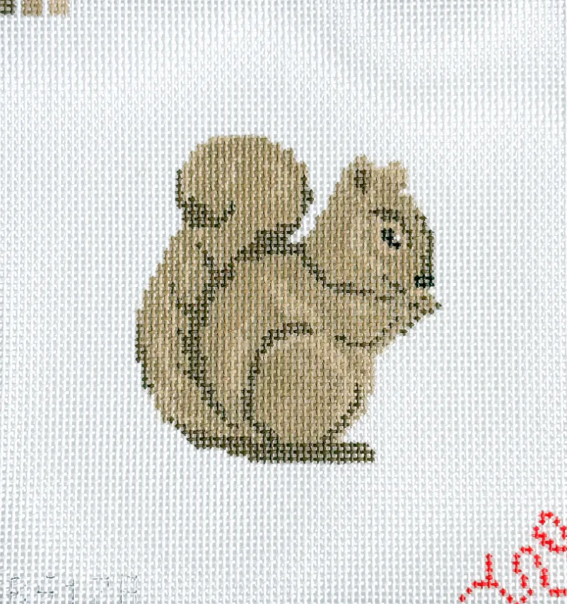 Baby Squirrel