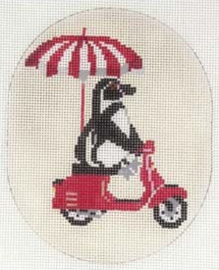 Penguin On Scooter