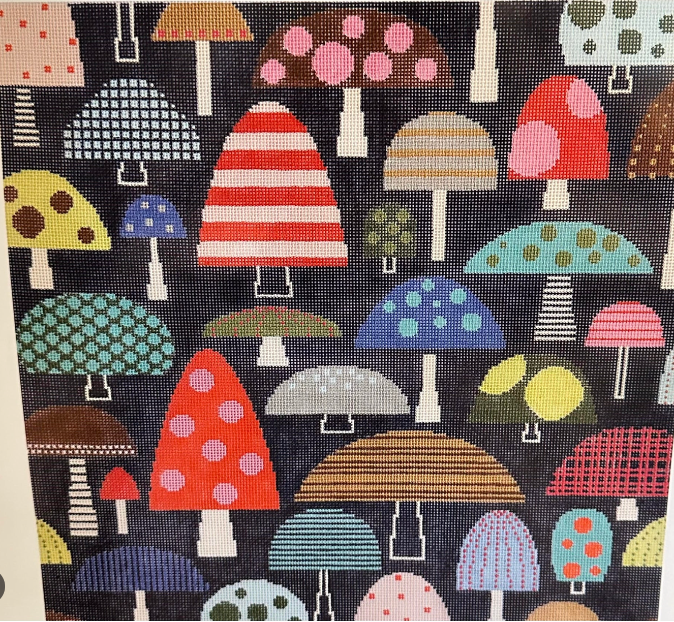 Fun Fungi Mushrooms