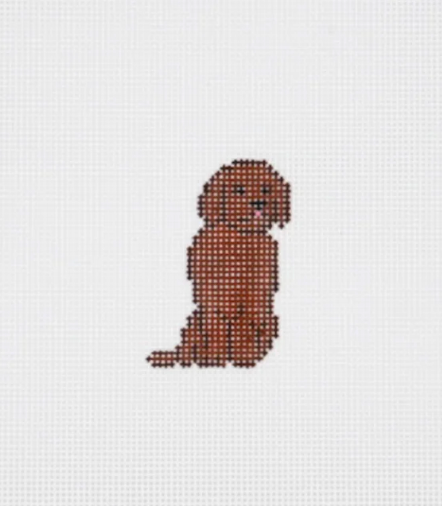 Mini Chocolate Lab