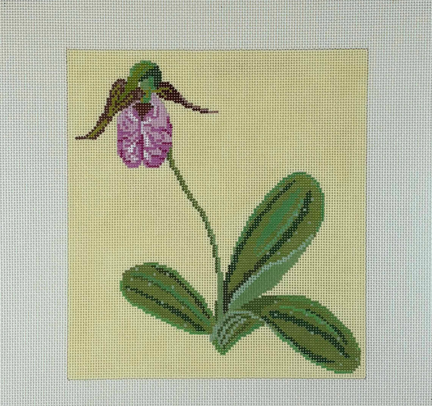 Pink Lady's Slipper (on 13 mesh)