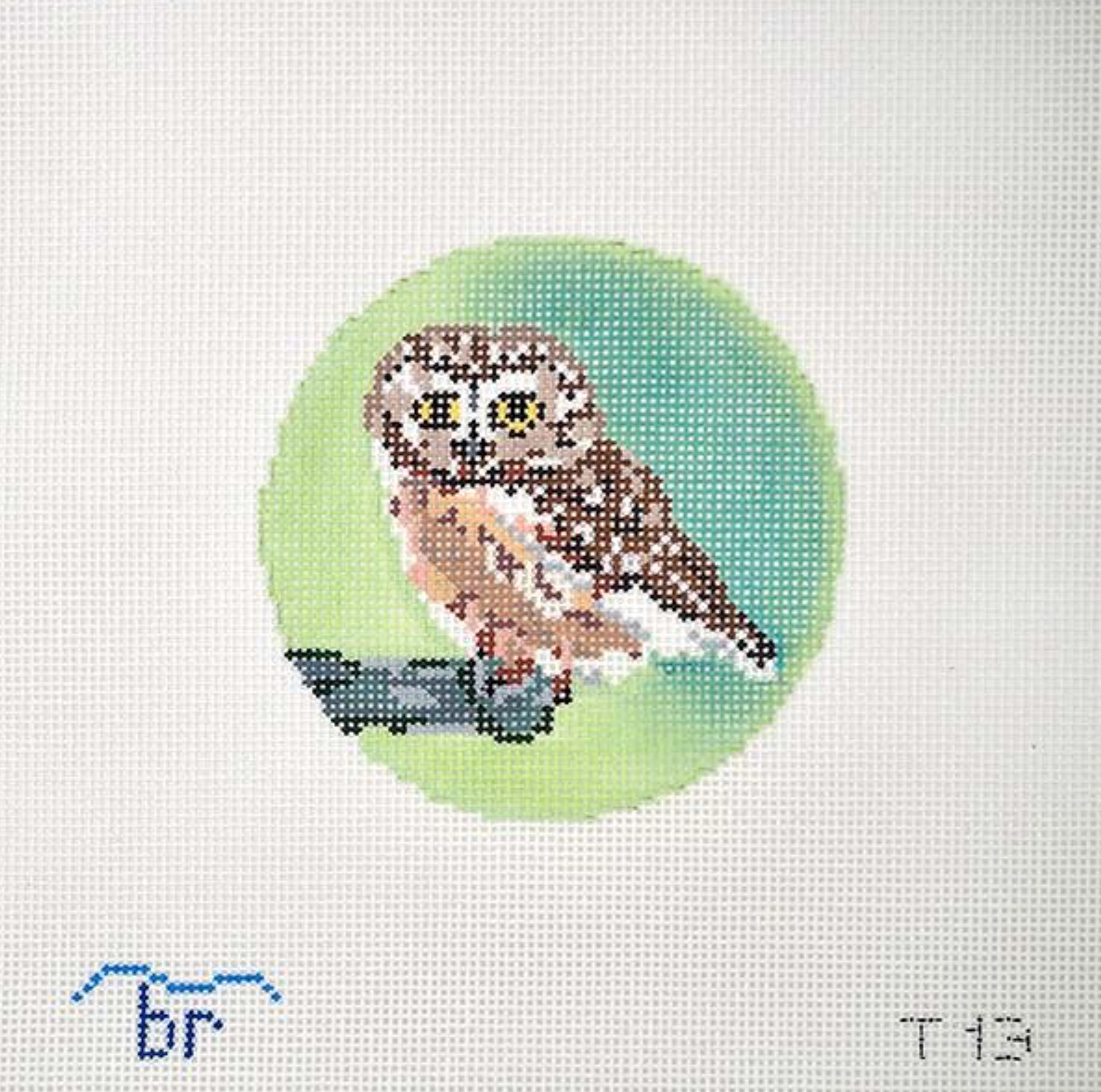 Rocky (Saw Whet Owl)