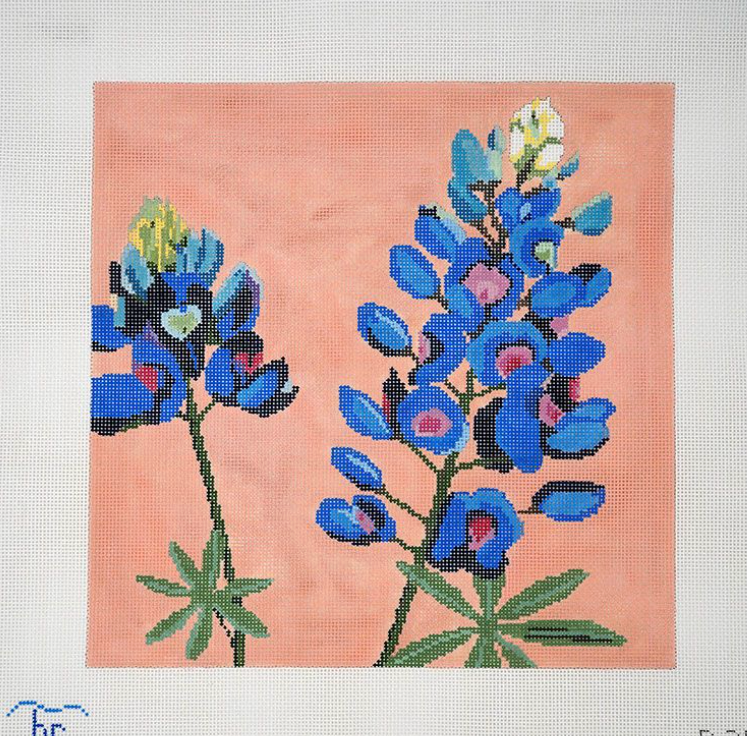 Bluebonnet (lupine)