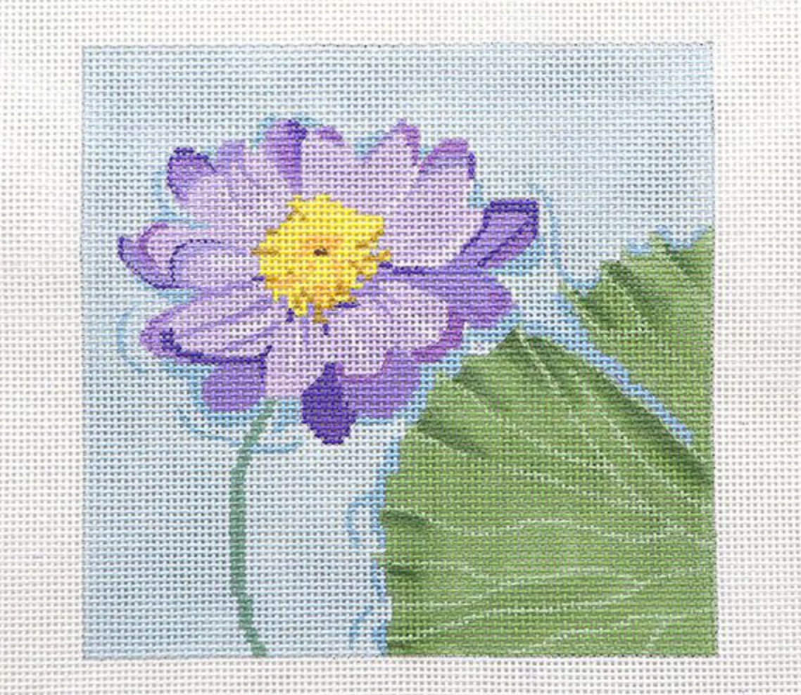 Water Lily