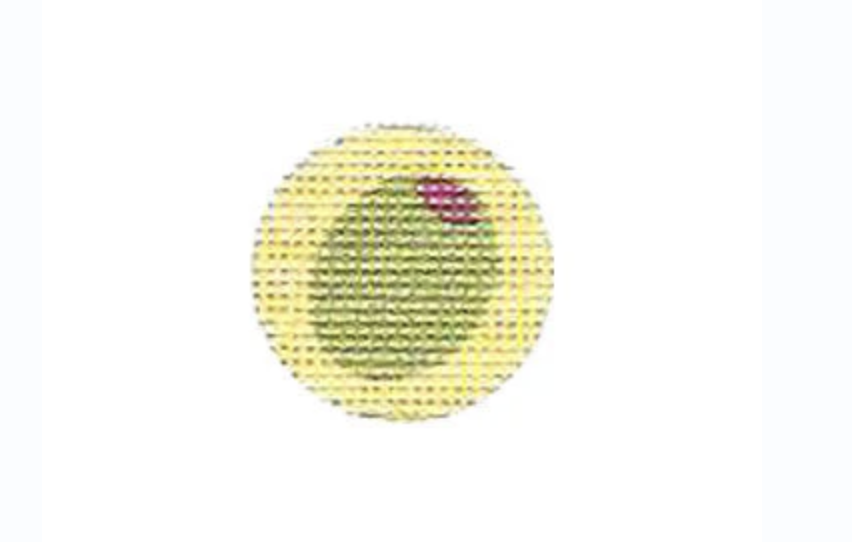 Olive Mini Round (printed)