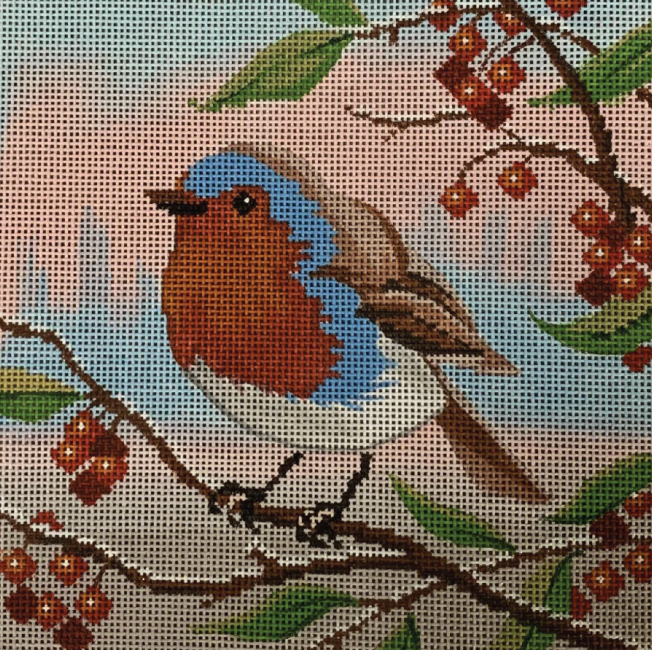 English Robin