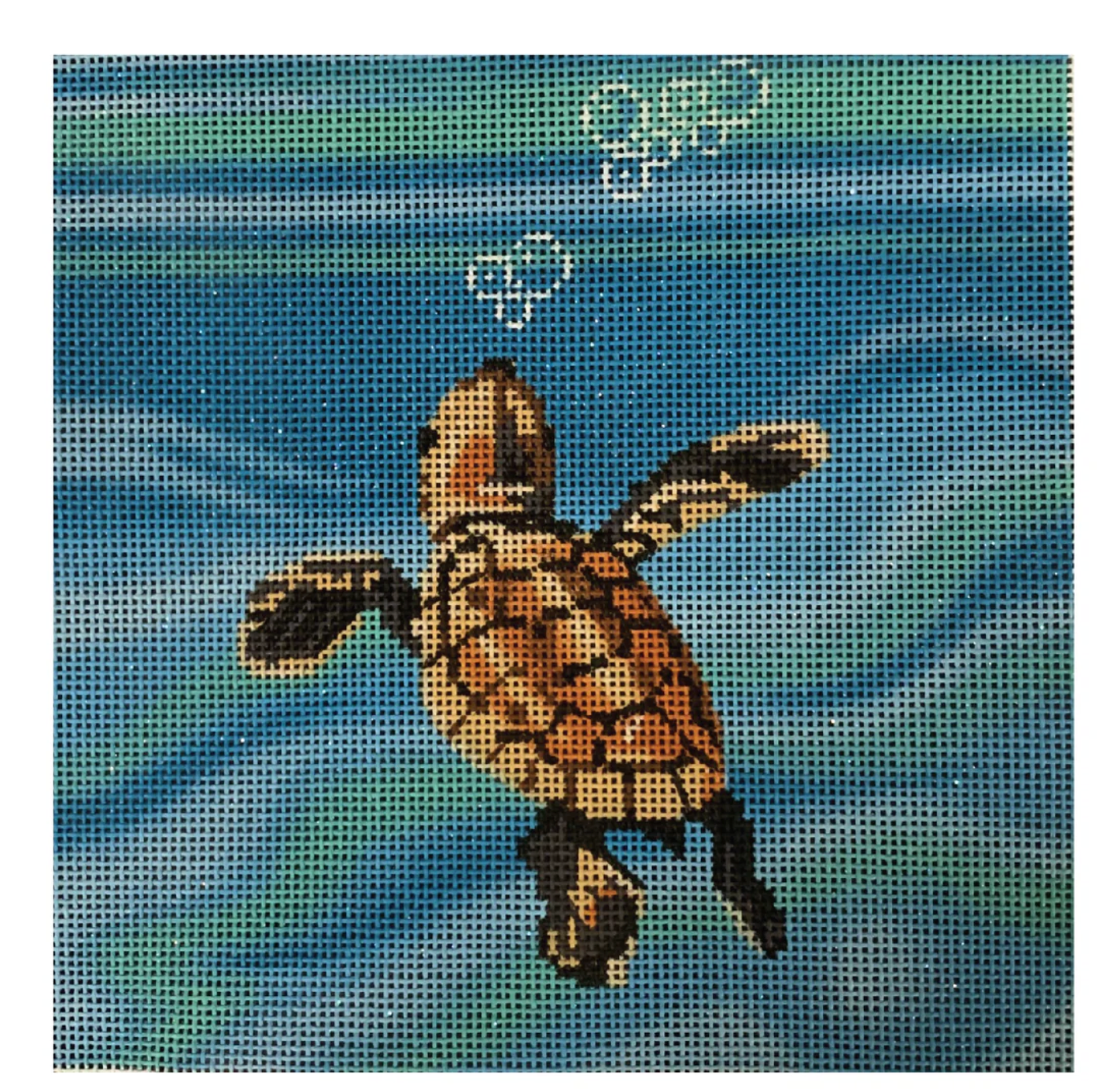 Baby Sea Turtle Swimming