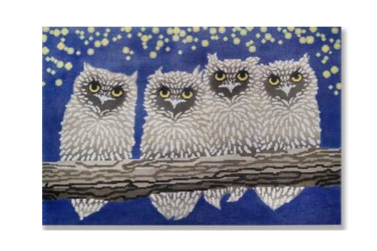 Owls Night
