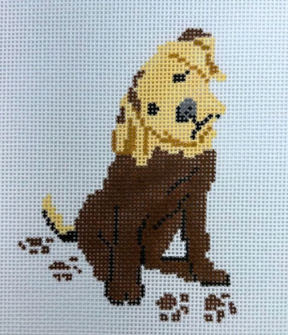 Muddy Yellow Lab Pup