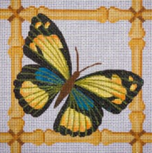Blue and Yellow Butterfly in Bamboo