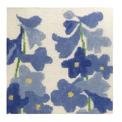 Delphinium
