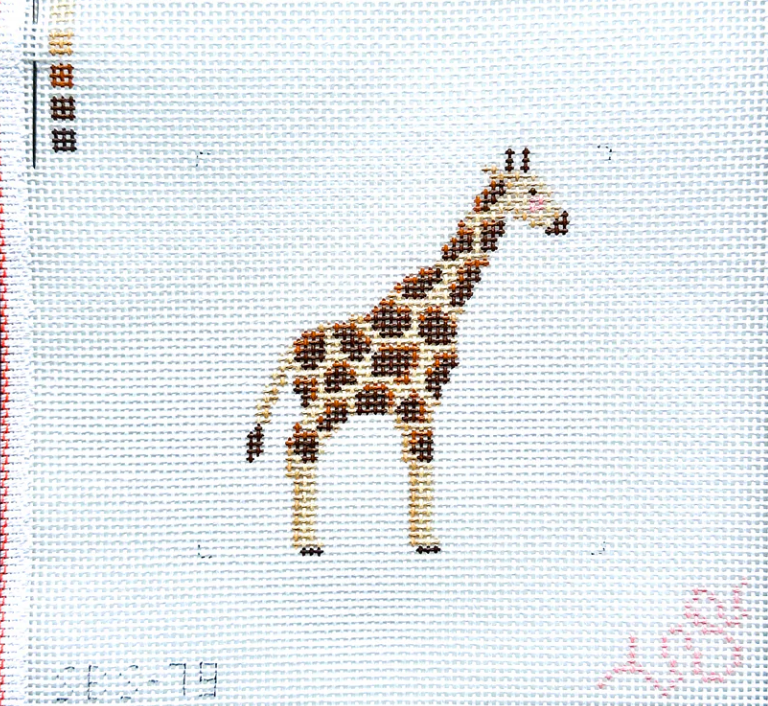 Baby Giraffe
