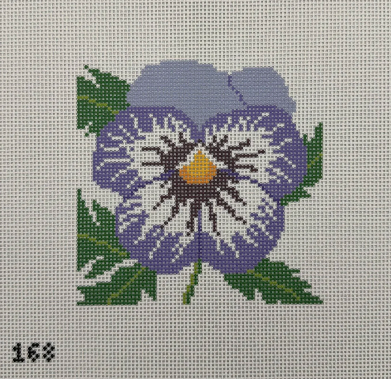 Pansy