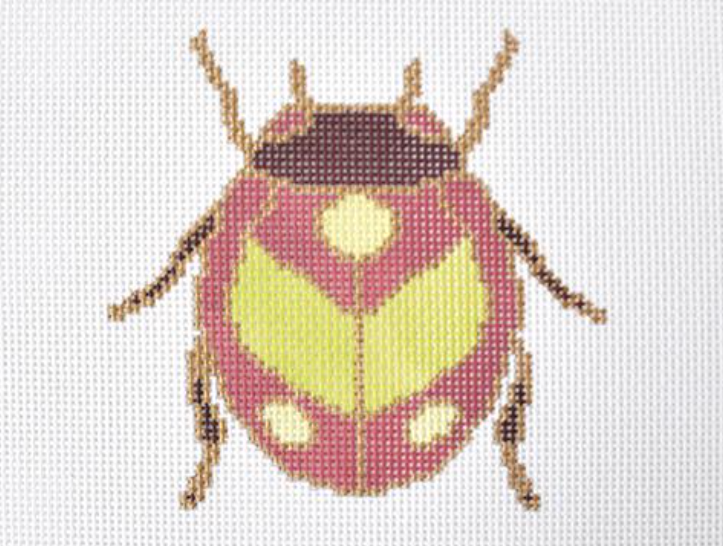 Beetle Pillow