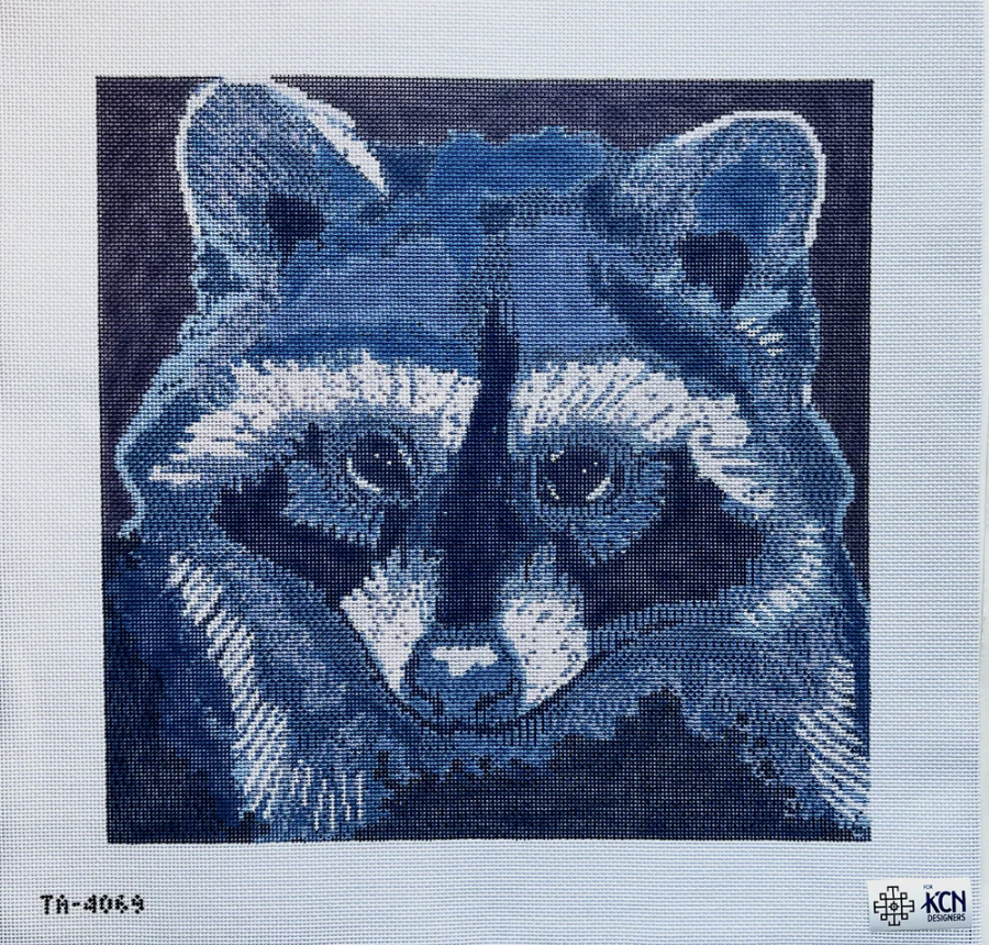 Raccoon Canvas