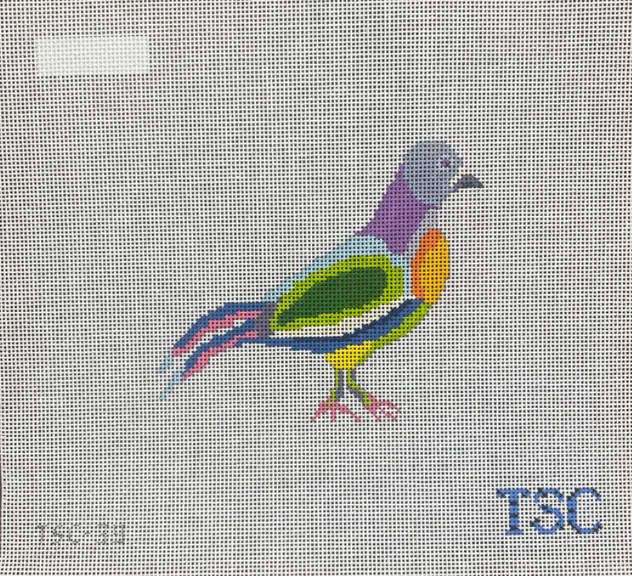 Fancy Pigeon