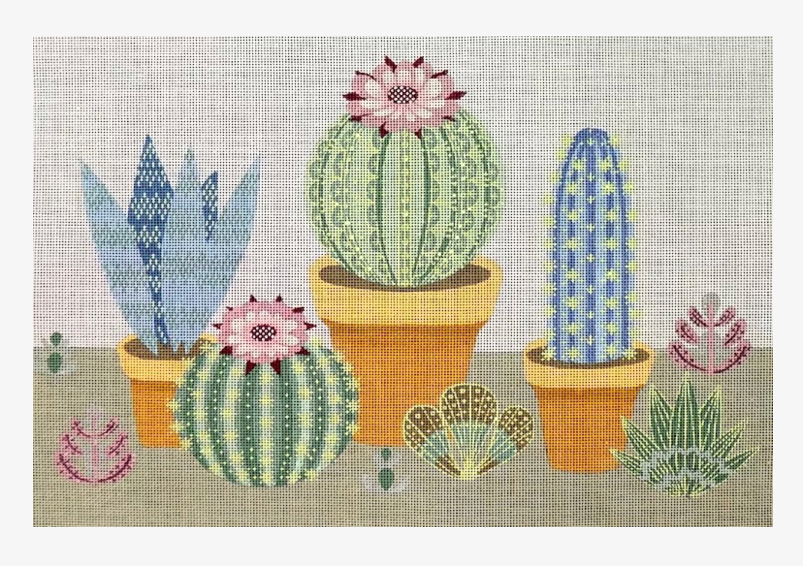 Cactus