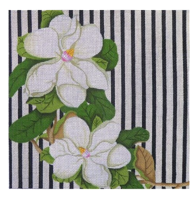Striped Magnolia