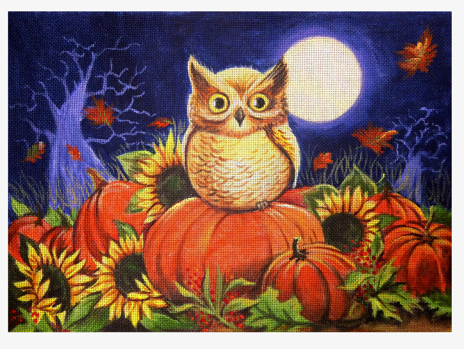 Pumpkin Patch Owl