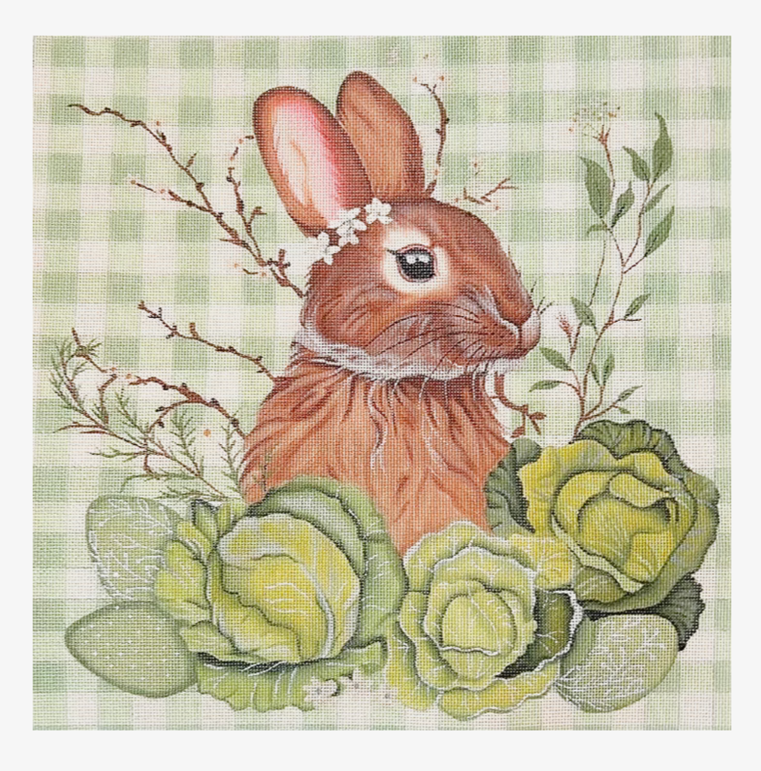 Splendid Bunny