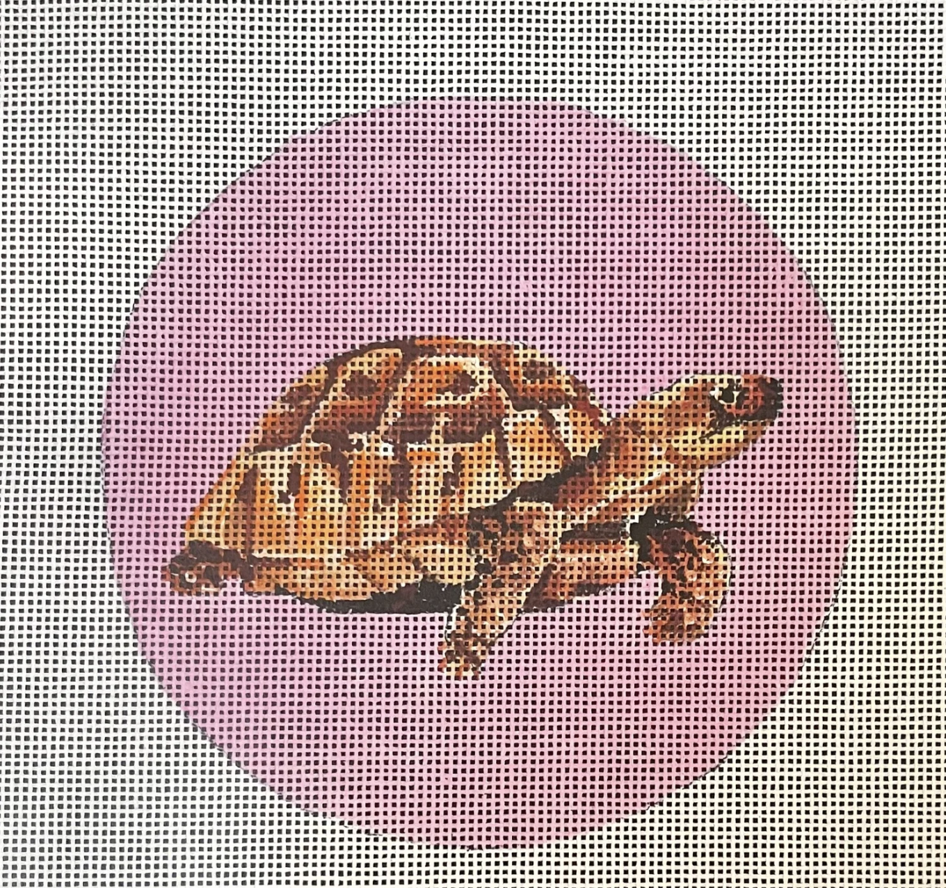 Turtle On Pink Round