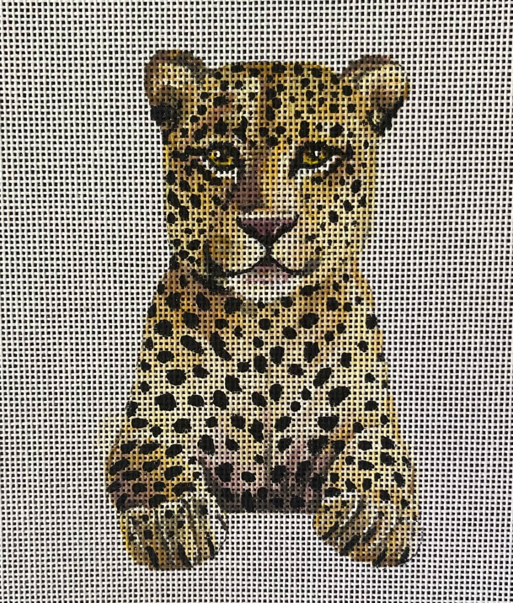 Baby Leopard