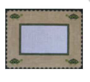 Turtle Frame