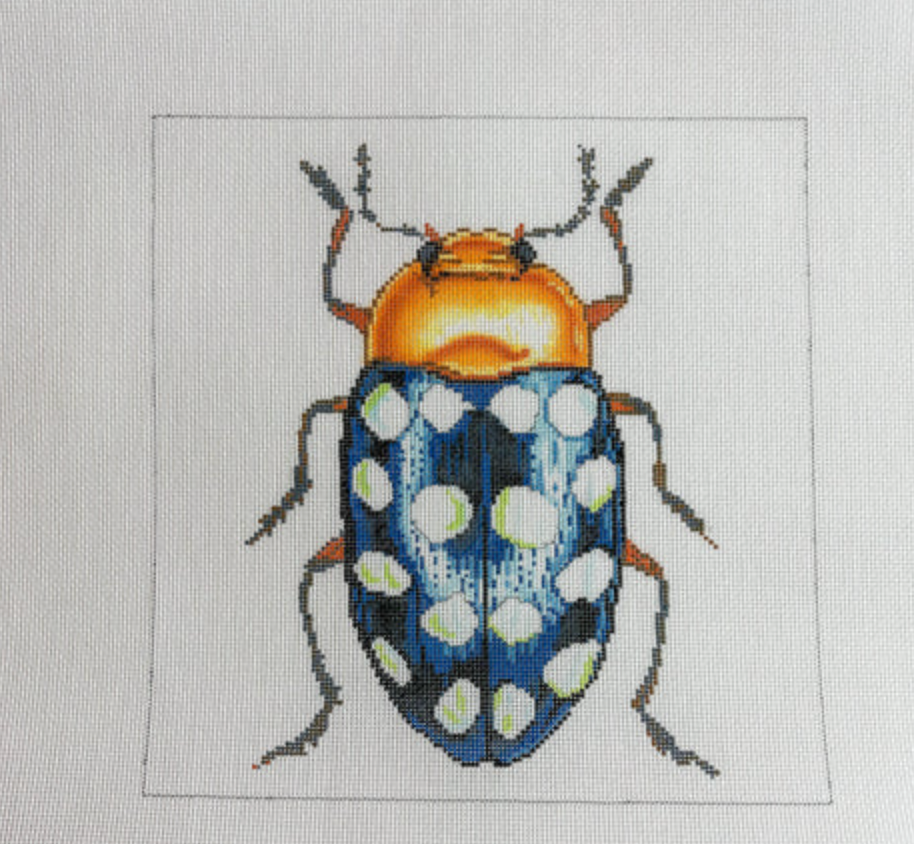 Little Bugs: Blue With White Dots