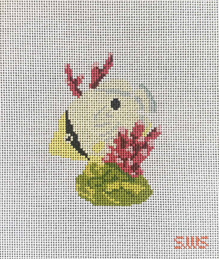 Yellow Coral Fish