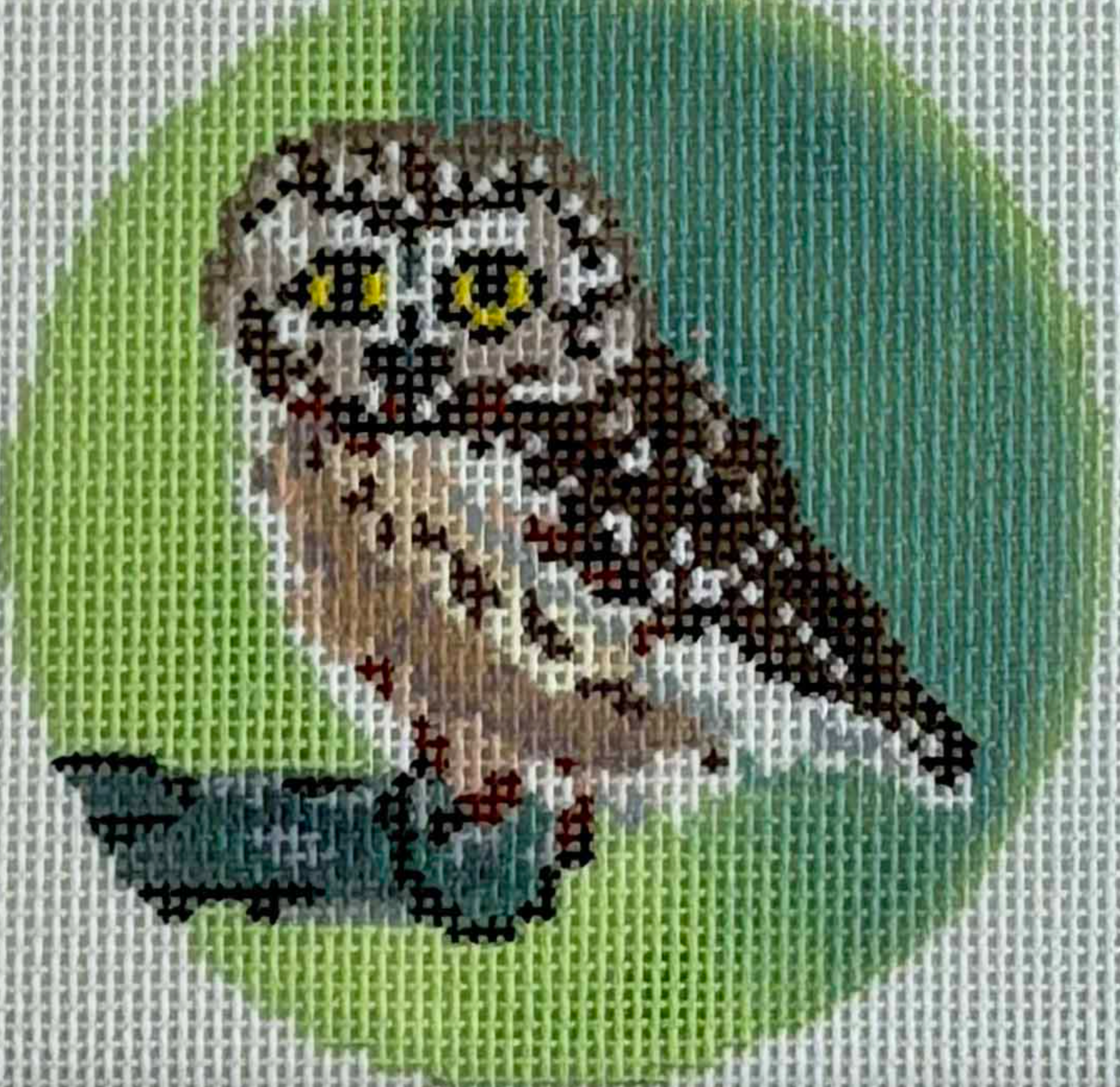 blue ridge stitchery Rocky the Saw Whet Owl needlepoint canvas