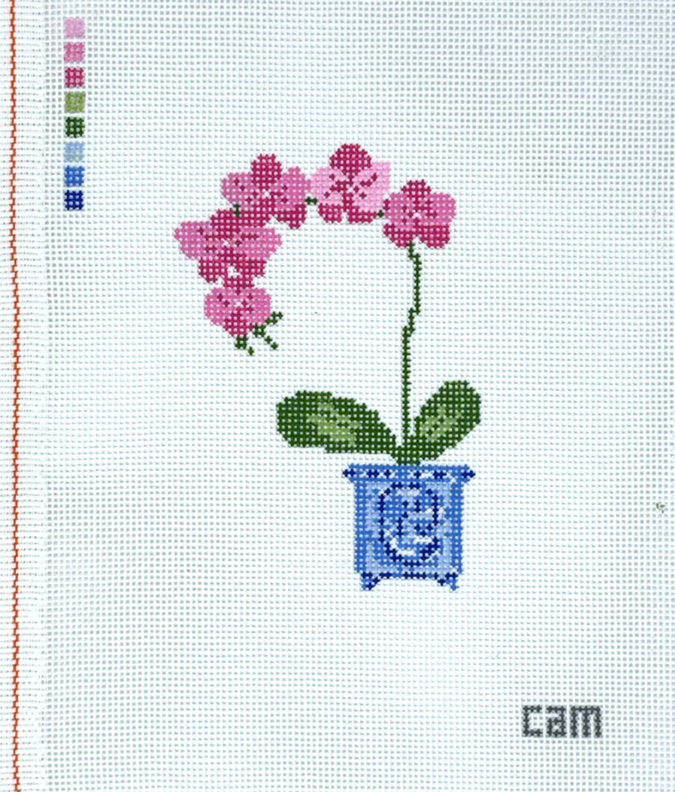 cam designs pink orchid in blue pot needlepoint canvas
