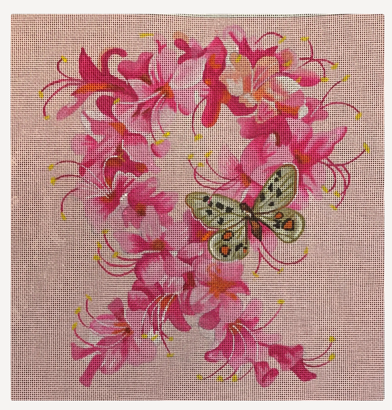 colors of praise Pink Flowers and Butterfly needlepoint canvas
