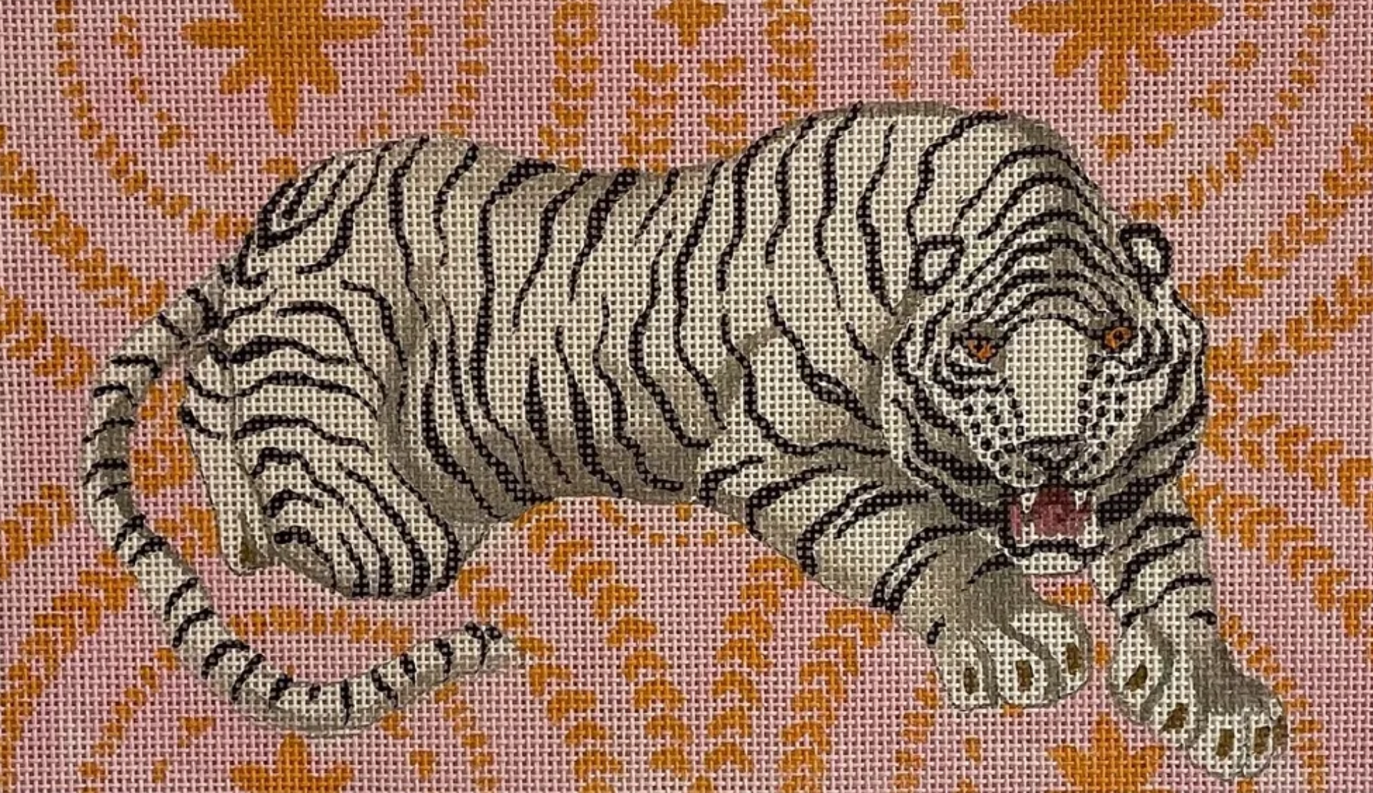 colors of praise white tiger on pink