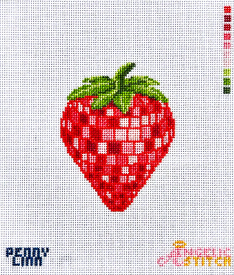 penny linn Disco Strawberry angelic stitch needlepoint canvas