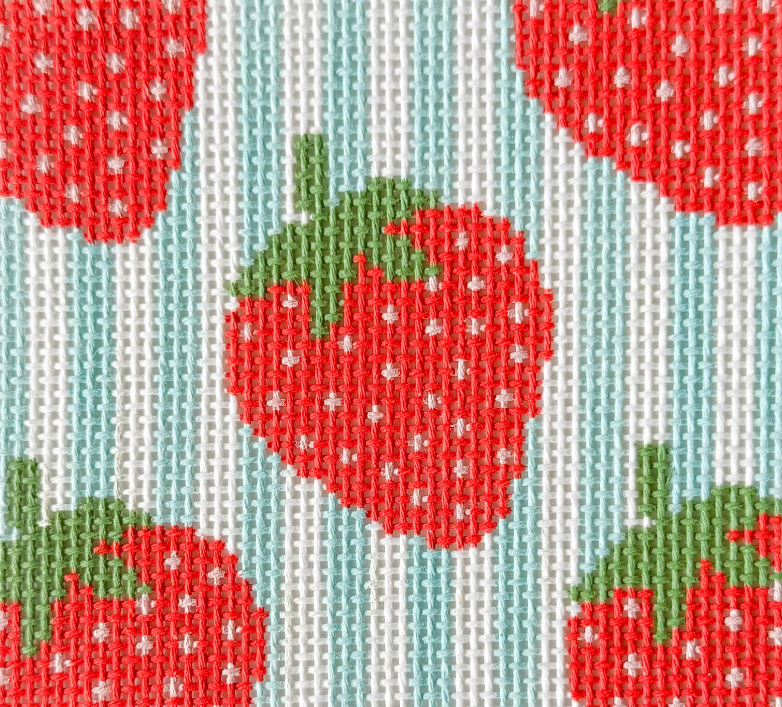 stitch rock Strawberries Square needlepoint canvas