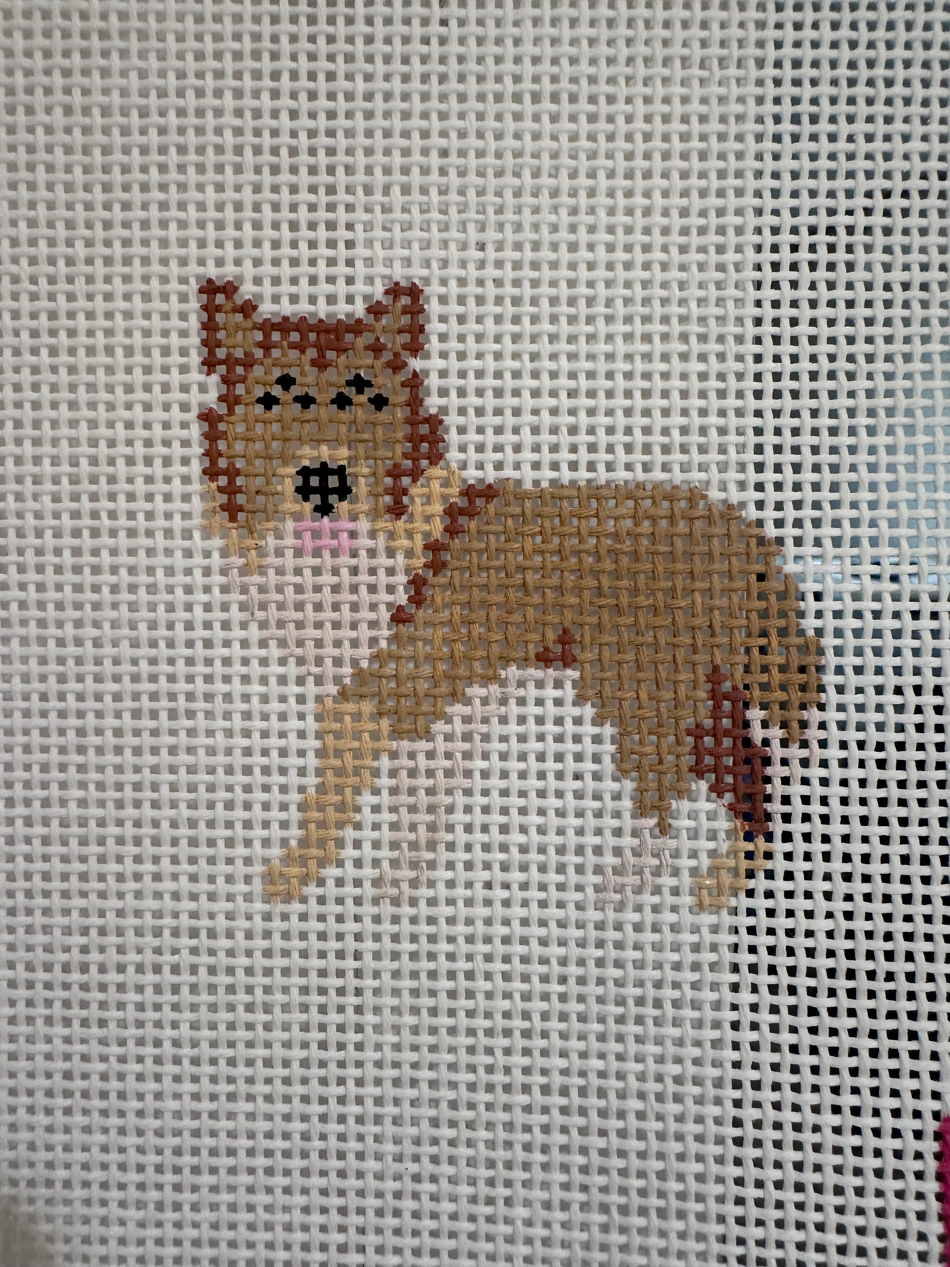 Collie Mini - 13 mesh
