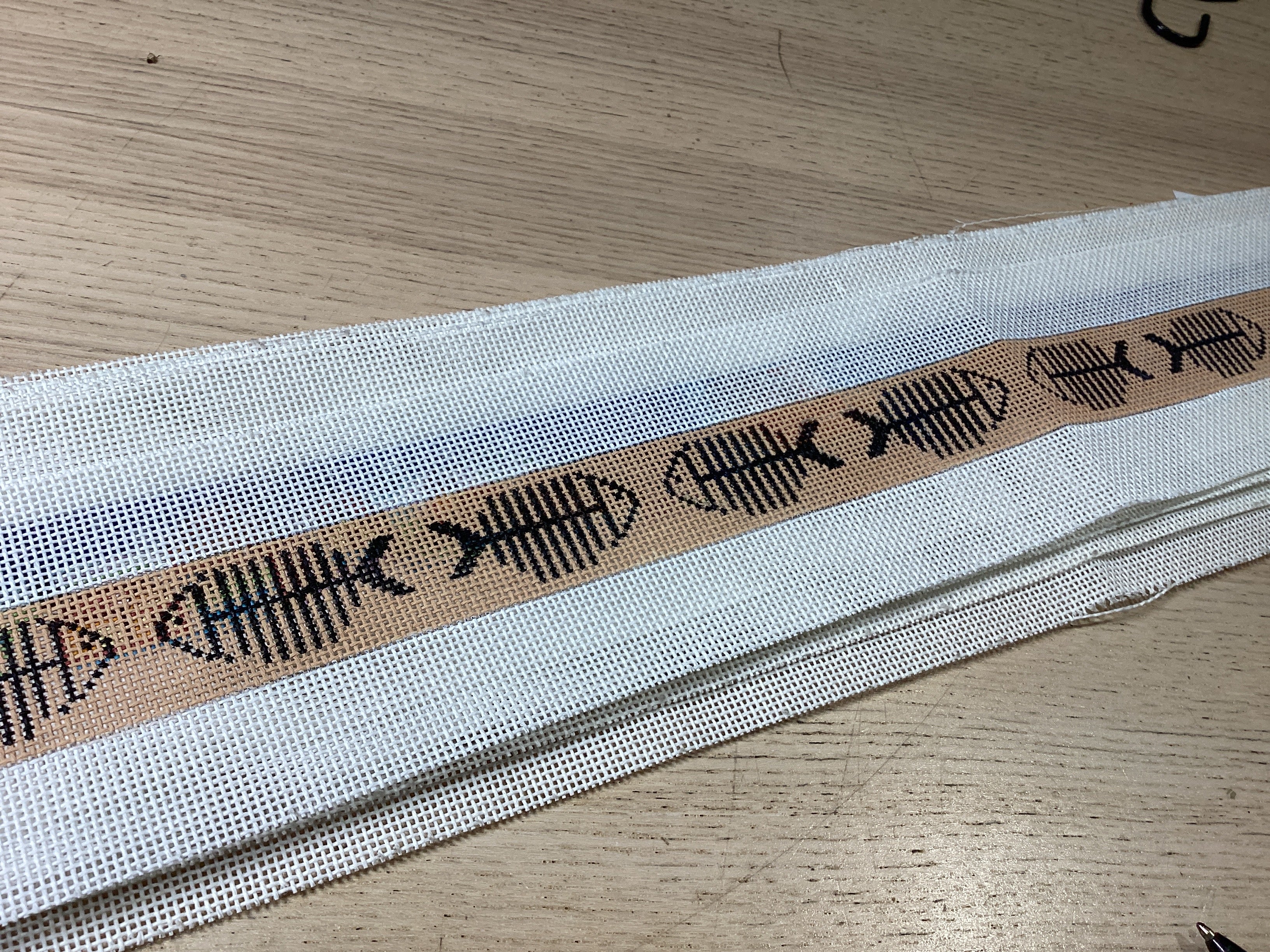 X-Ray Fish Belt