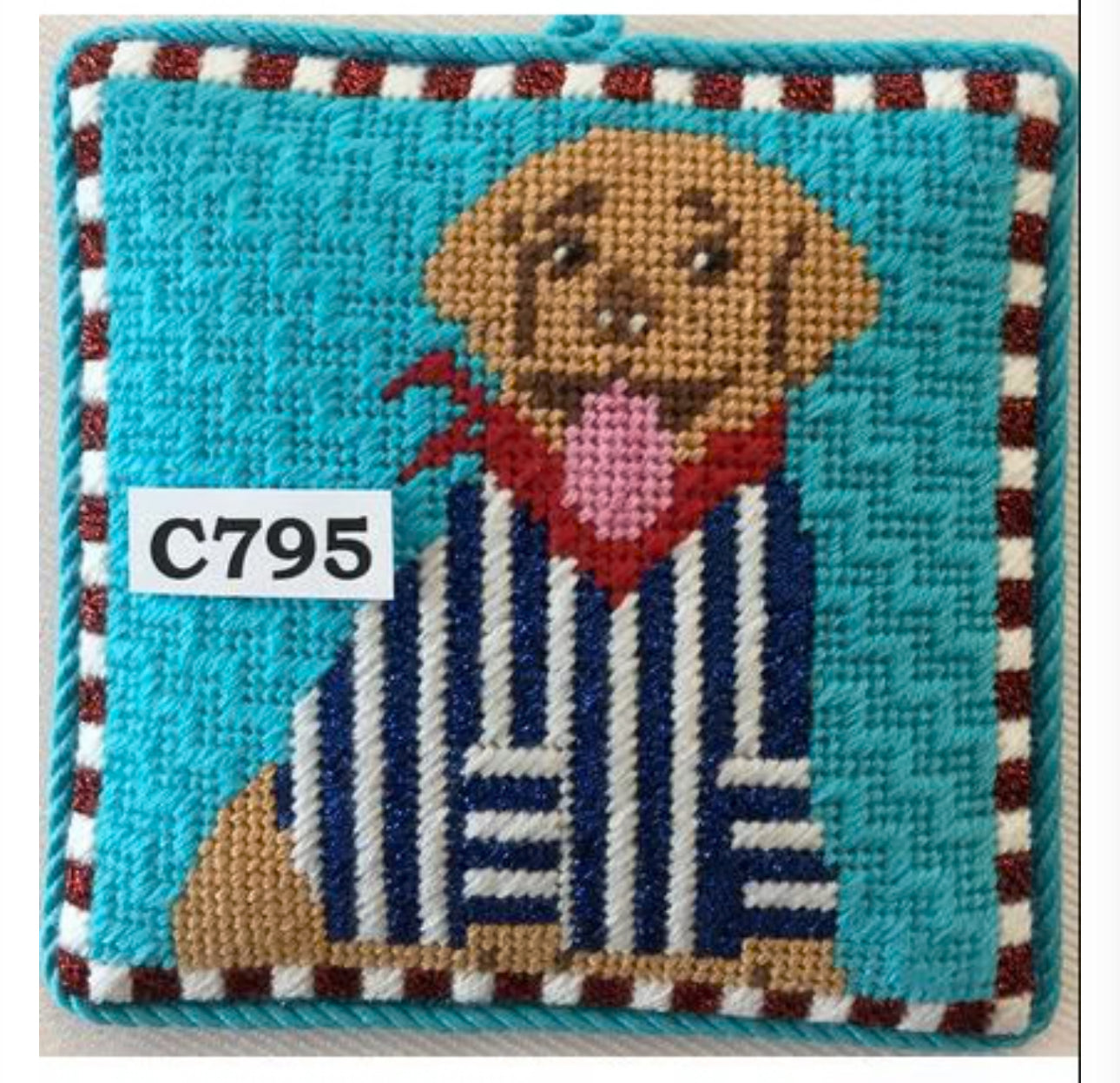 Sporty Labrador